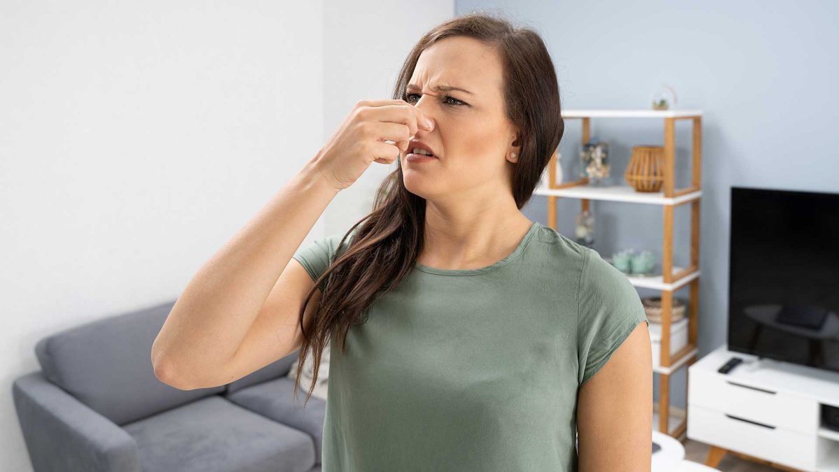 WHAT’S THAT SMELL? COMMON CAUSES OF AC ODORS